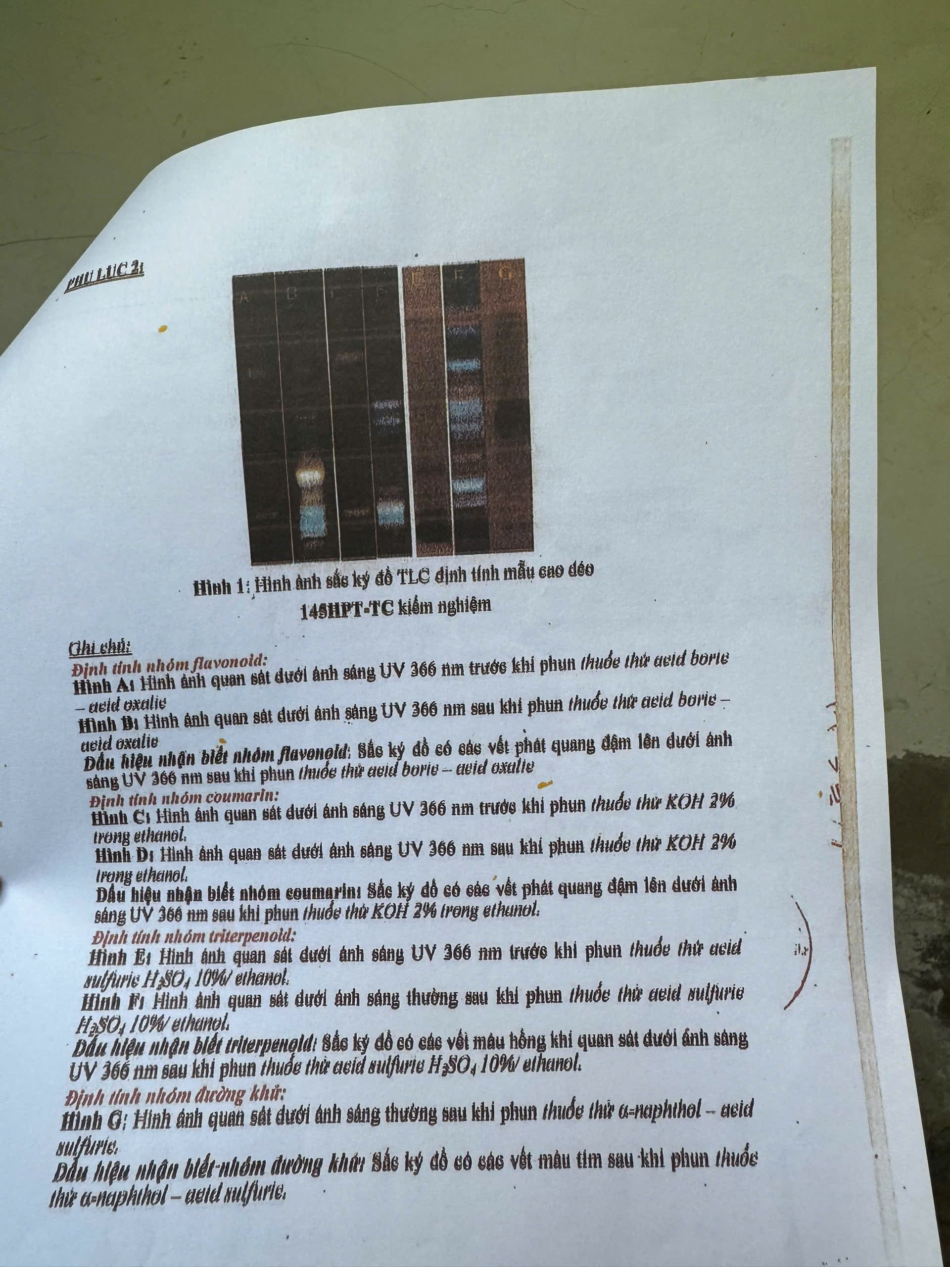 Chứng chỉ kiểm định 5